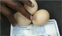 zimbabwe inflation