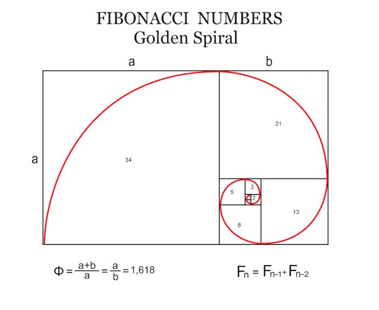 Fibonacci on forex
